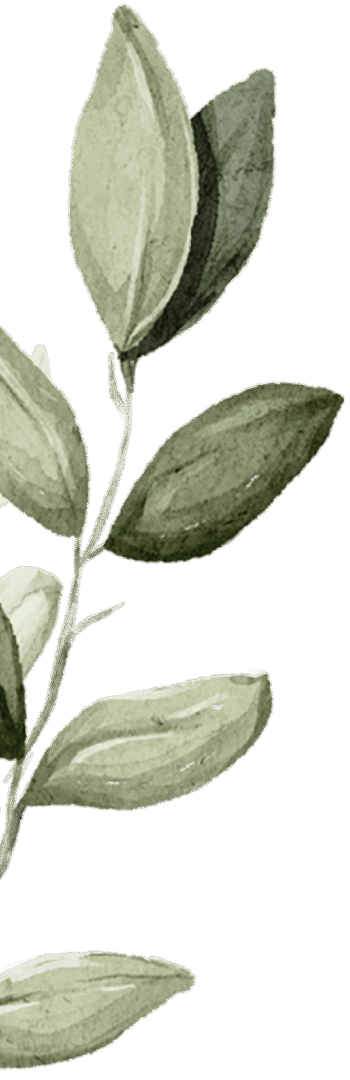 branch 1